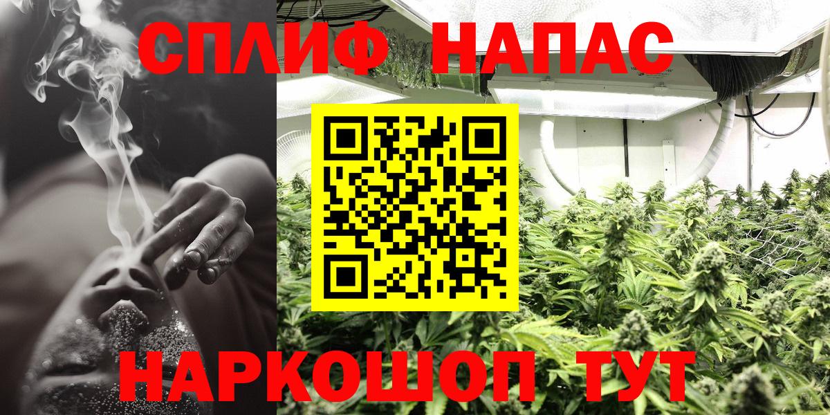 Конопля SATIVA & INDICA  Вход с VPN  Конопля гибрид  МАРИХУАНА SATIVA & INDICA  Орск 